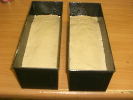 Kopie von Backtag 025.jpg