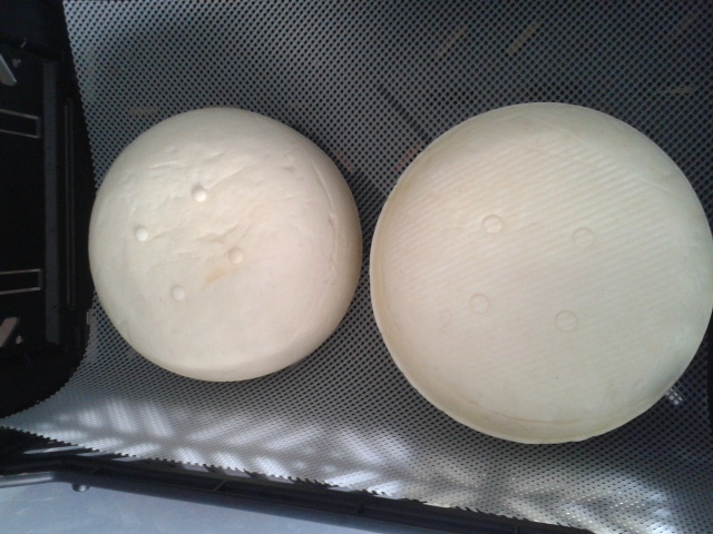 2012-12-09 10.16.28.jpg