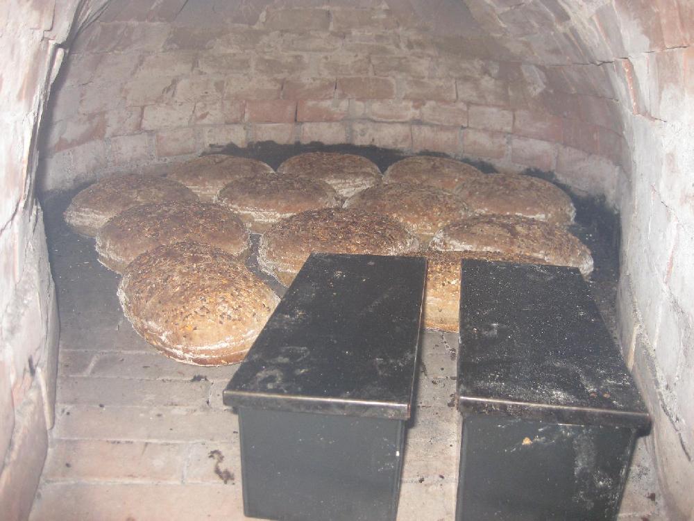 Sonnenblumenbrot fast fertig.JPG