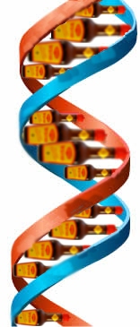 dna_helix.jpg