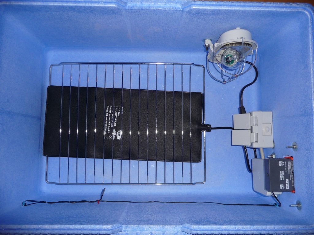 20130127_boxPimp2.JPG