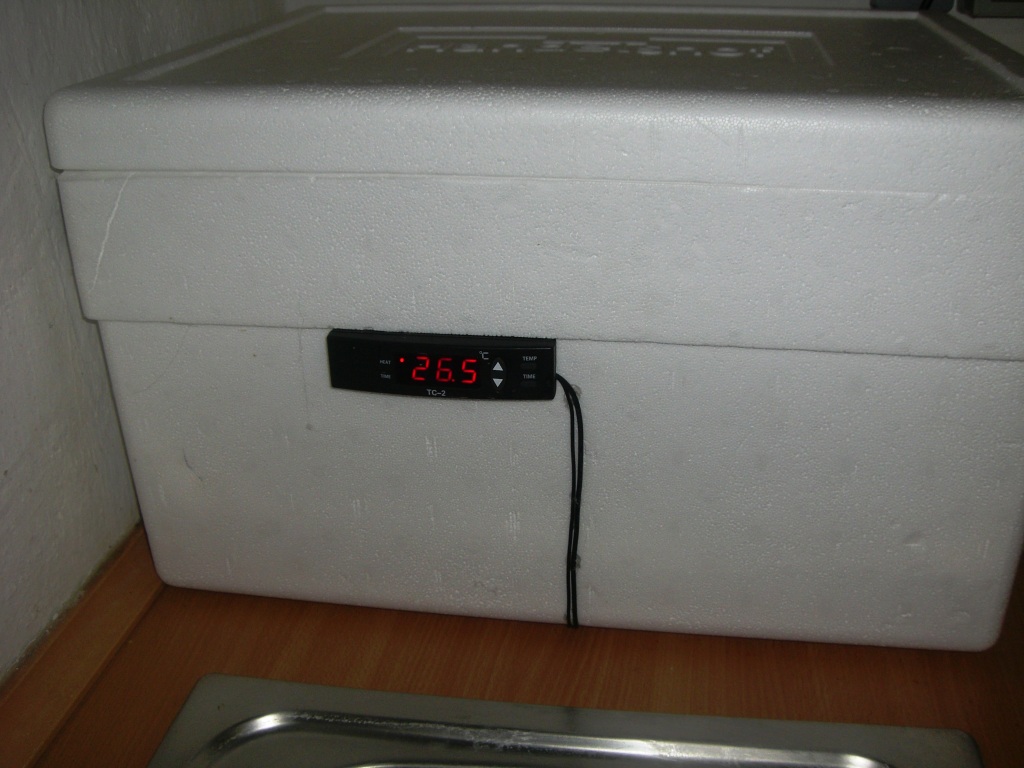 Hier reift mein Sauerteig