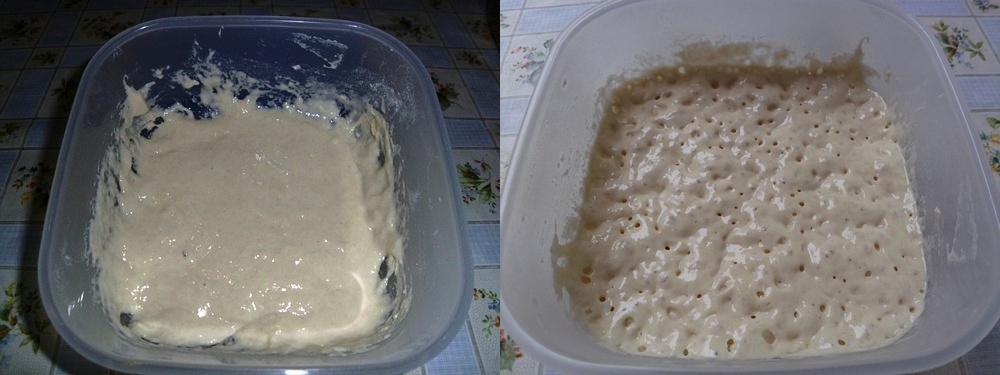 50 Gramm Mehl/ Wasser 1 Gramm Hefe