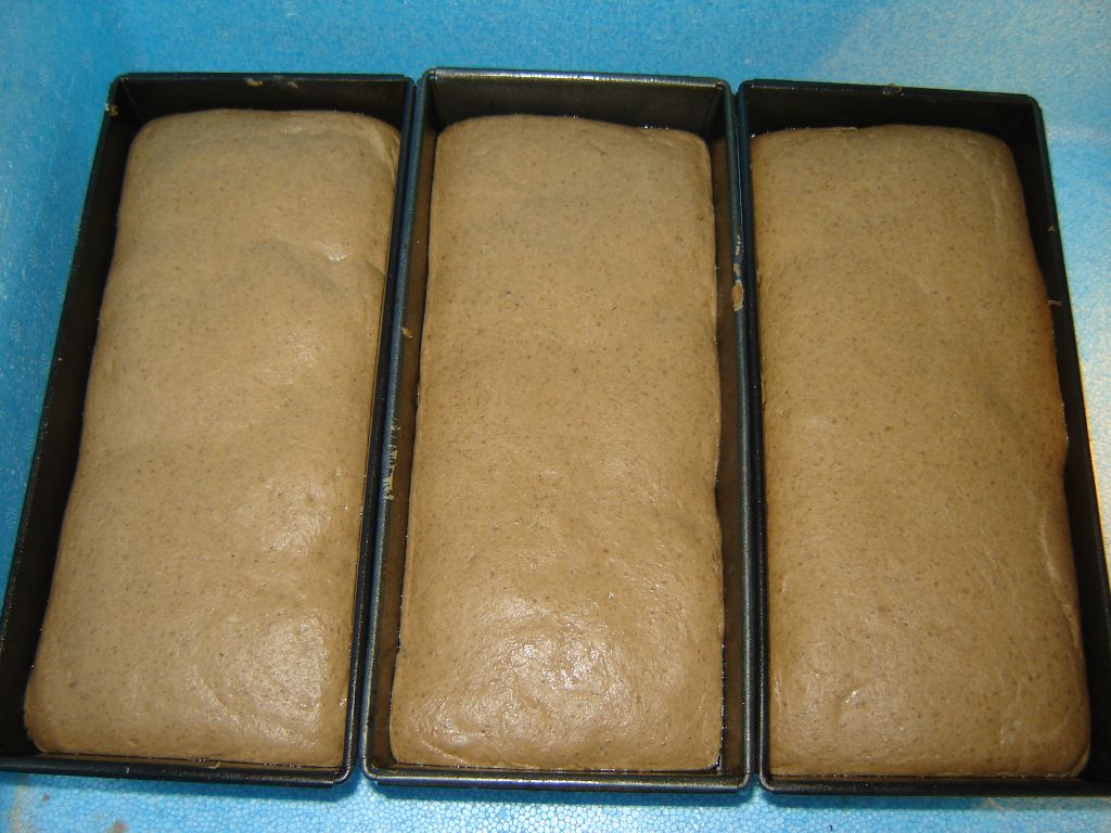 Schwarzbierbrot07.jpg