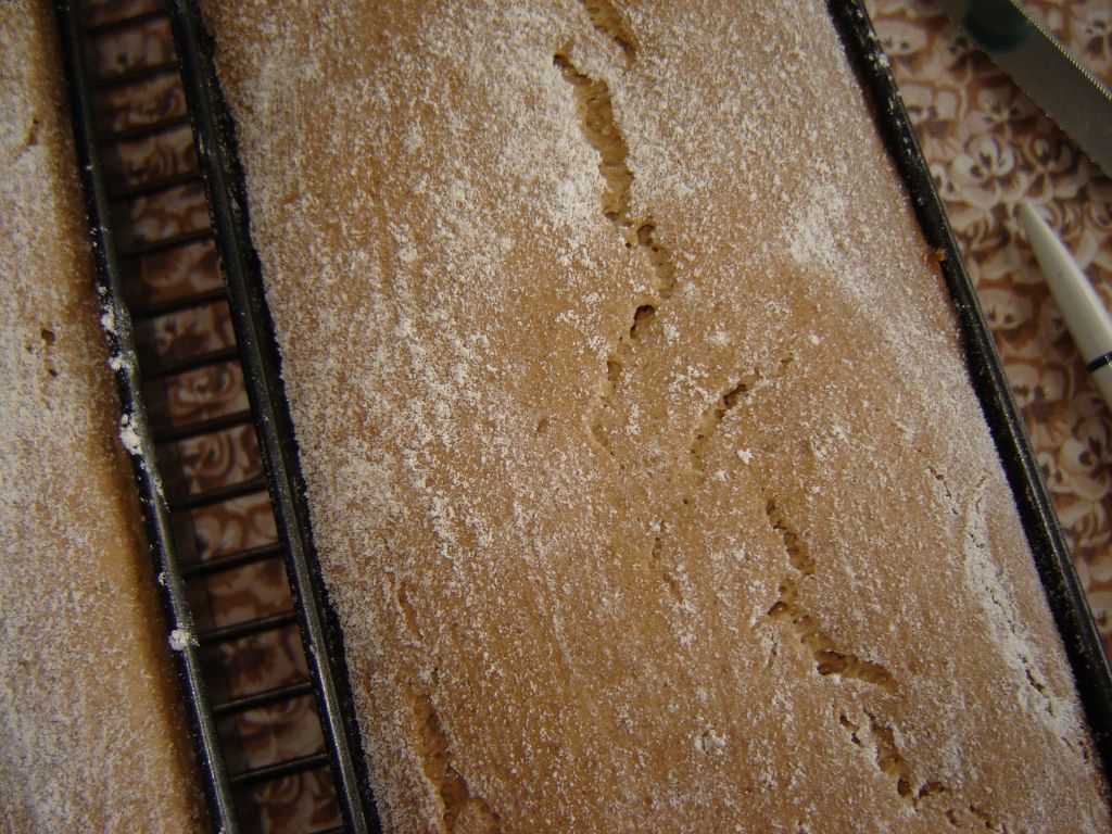 Schwarzbierbrot09.jpg