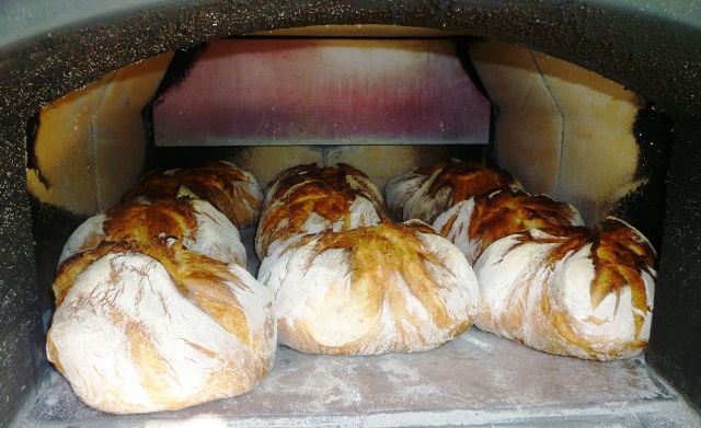 Bei 270 Grad.<br />Einschuß von 12 Bauernbrote.<br />Backzeit 1 Stunde.