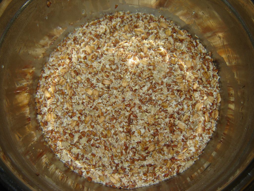 OBM7-Vollkorn-02.jpg