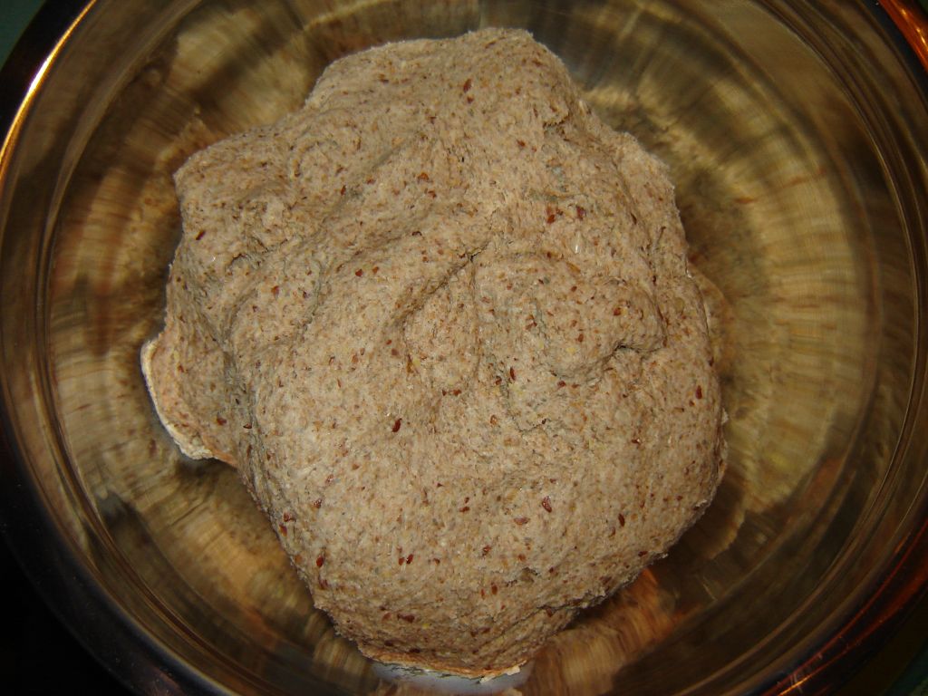 OBM7-Vollkorn-08.jpg