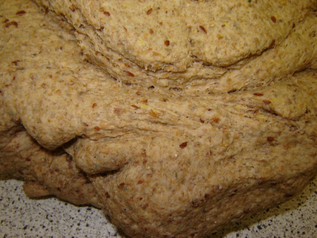 OBM7-Vollkorn-10.jpg