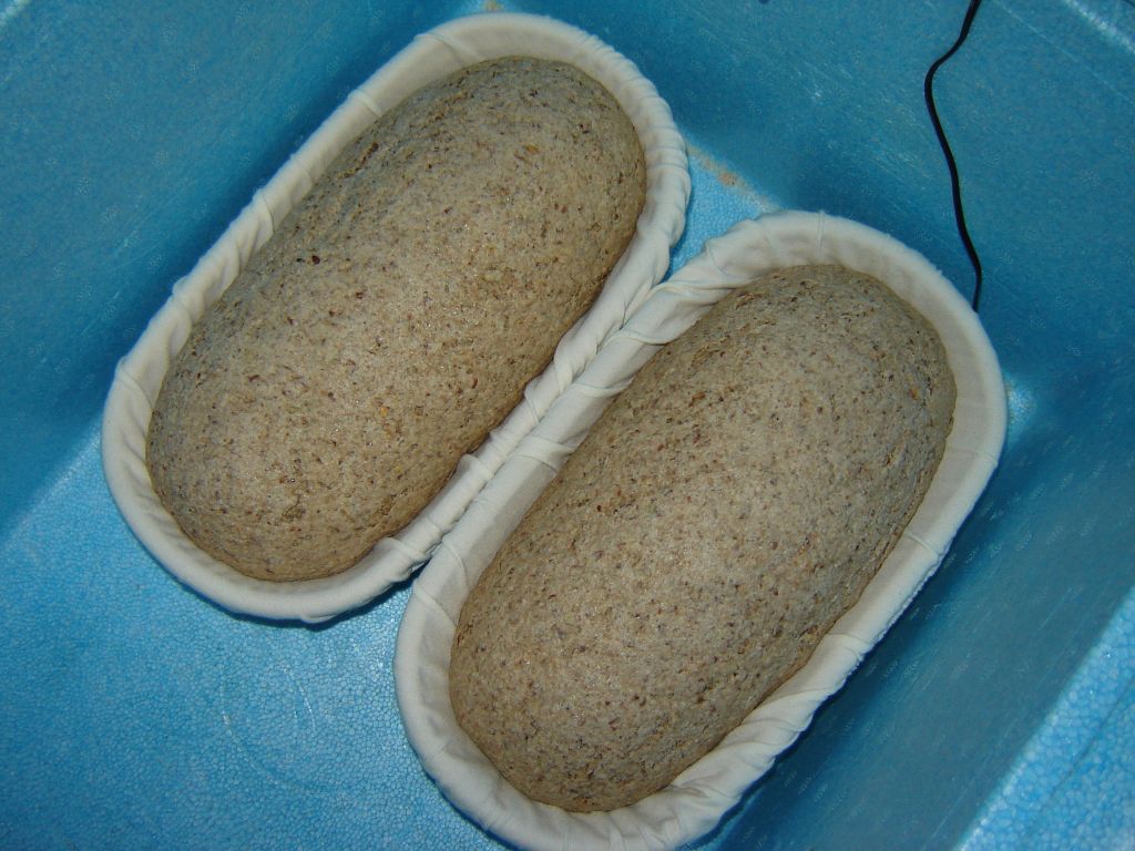 OBM7-Vollkorn-16.jpg