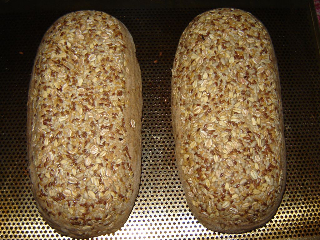 OBM7-Vollkorn-18.jpg
