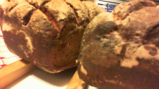 2013-02-22 19-26-06.826.jpg