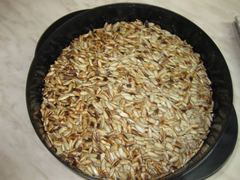 Sonnenblumen geröstet.JPG