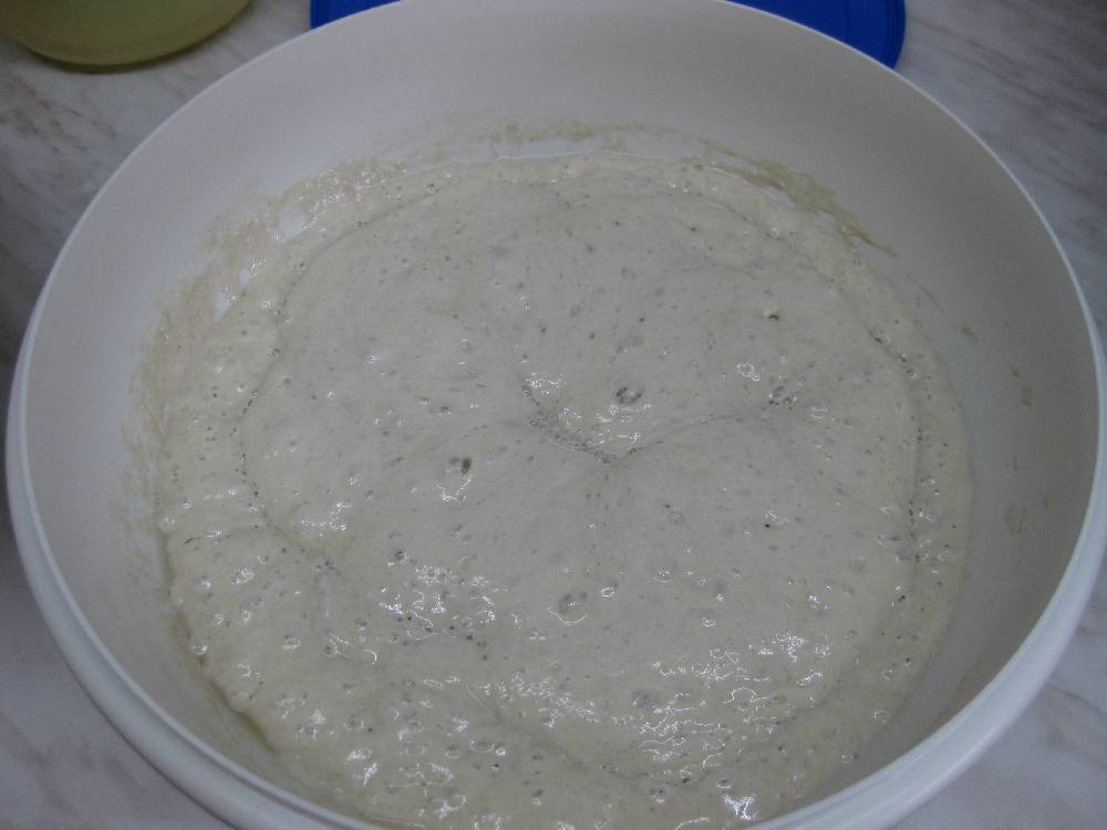 Vorteig für Kastenbrot.JPG