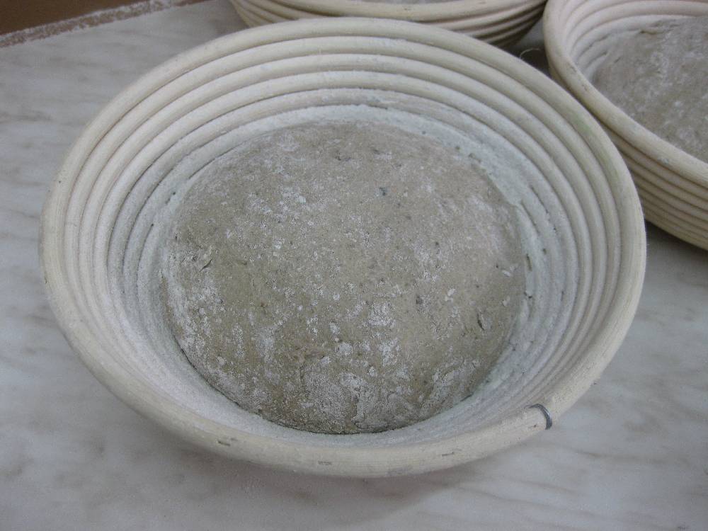 Brot im Gärkörbchen.JPG