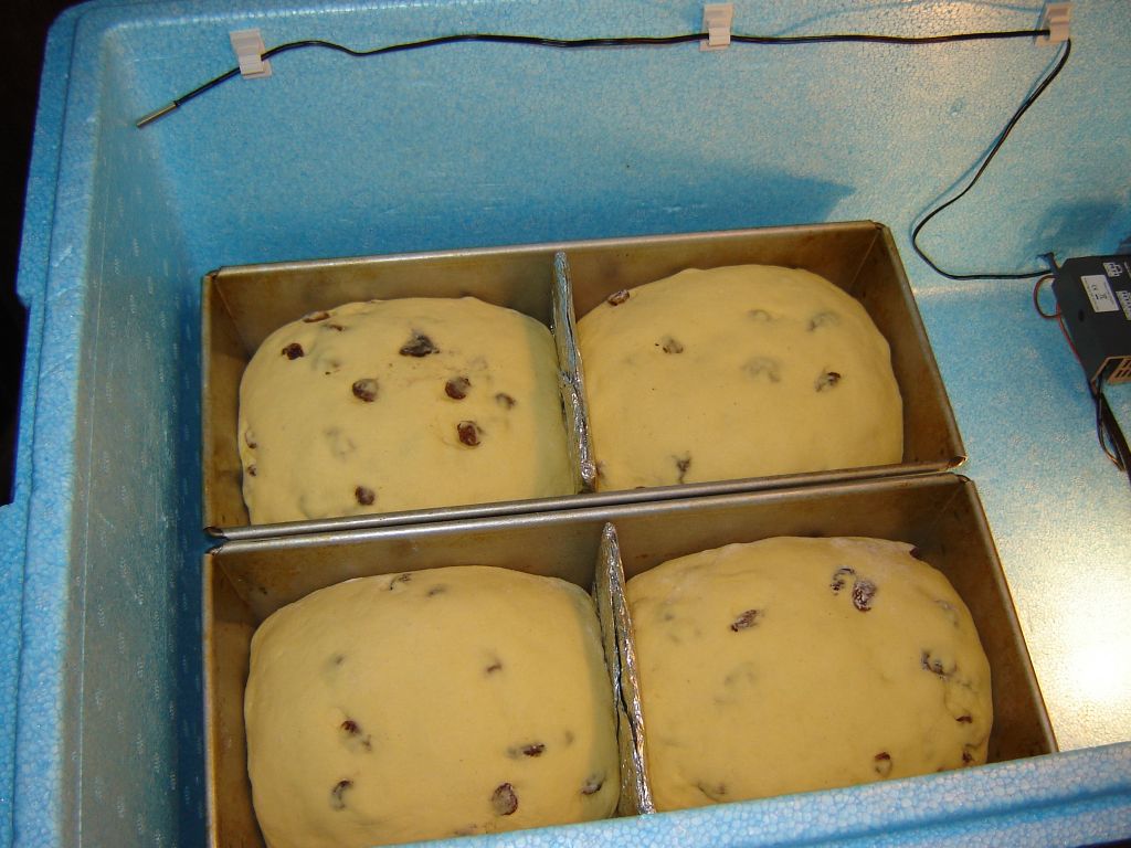 Maisbrot mit Rosinen 12.jpg