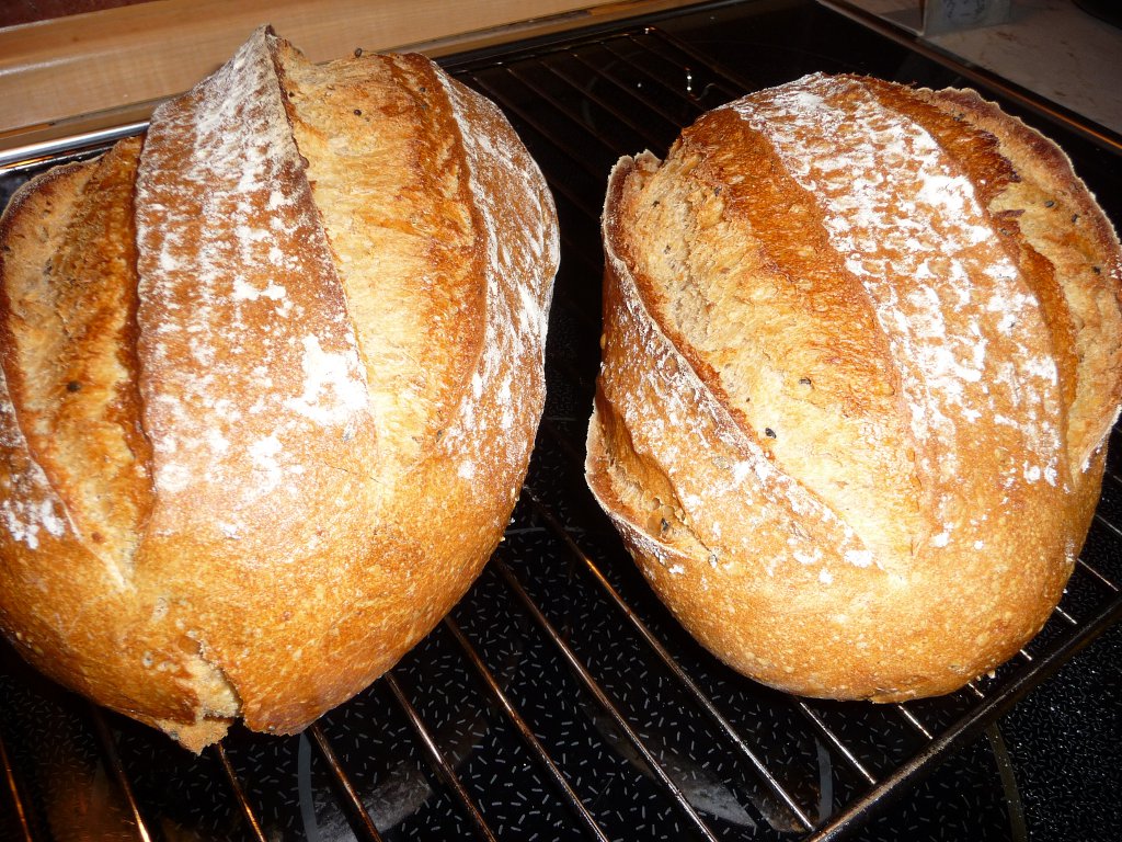 20130227_V5_pferdsch.JPG