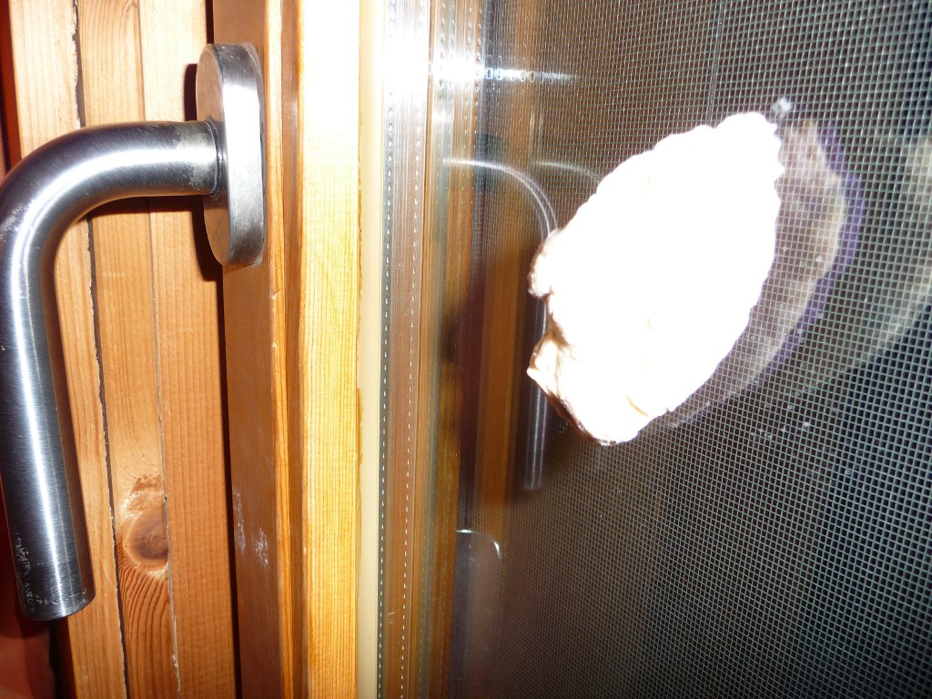 20130301_Fenster-Test.JPG