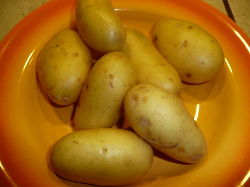 20130310_0.JPG