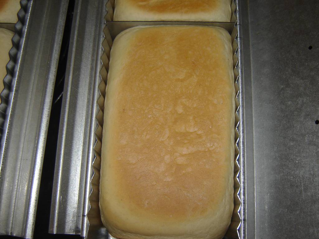 vielleicht die Teiglinge noch etwas besser formen, damit die Ecken fast vollständig ausgefüllt sind?