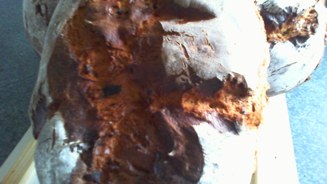 2013-04-04 16-08-36.373.jpg