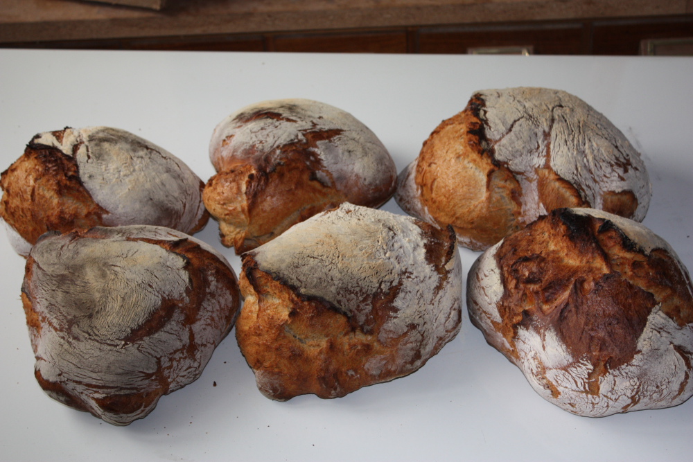 06042013Brot0002.JPG