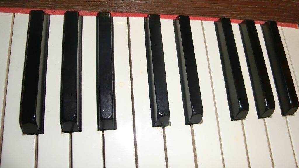 CIMG6720.jpg