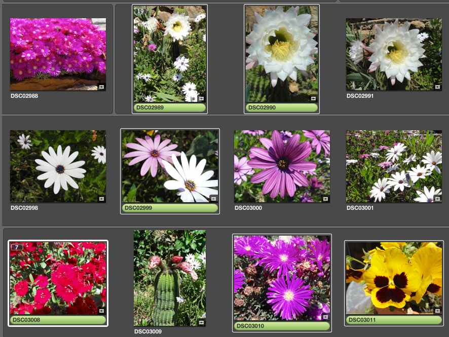 Bildschirmfoto 2013-05-16 um 01.08.30.jpg