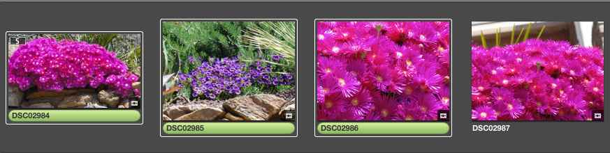 Bildschirmfoto 2013-05-16 um 01.09.03.jpg