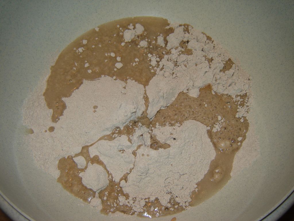 OBM10-Freestyle-01.jpg