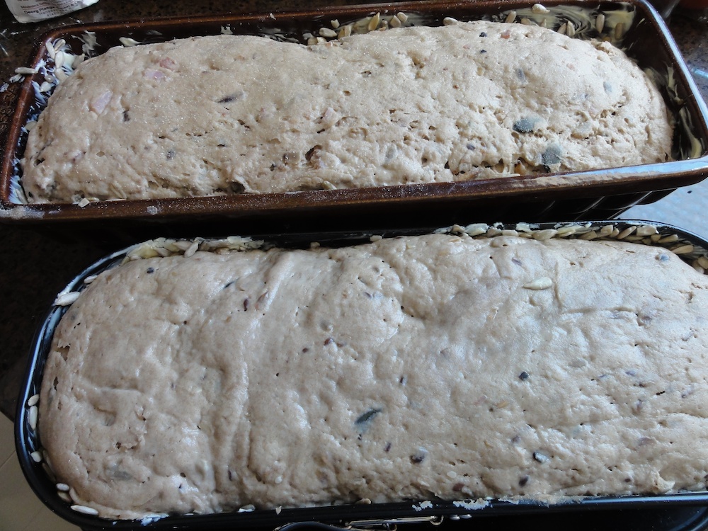 DSC03215.jpg