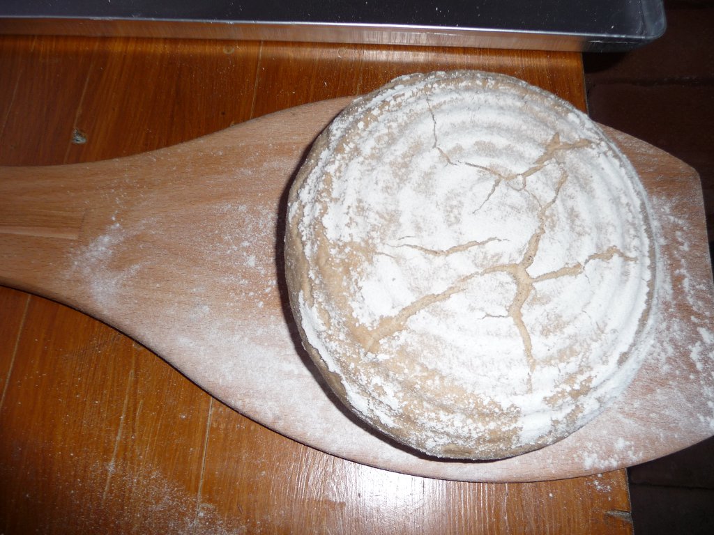20130520_2046_rein-damit.JPG