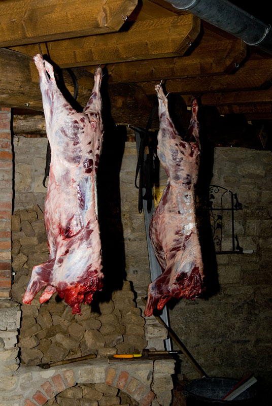 so hängen sie bis morgen früh