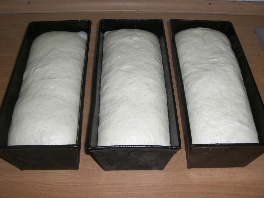 Kastemweißbrot 020.jpg