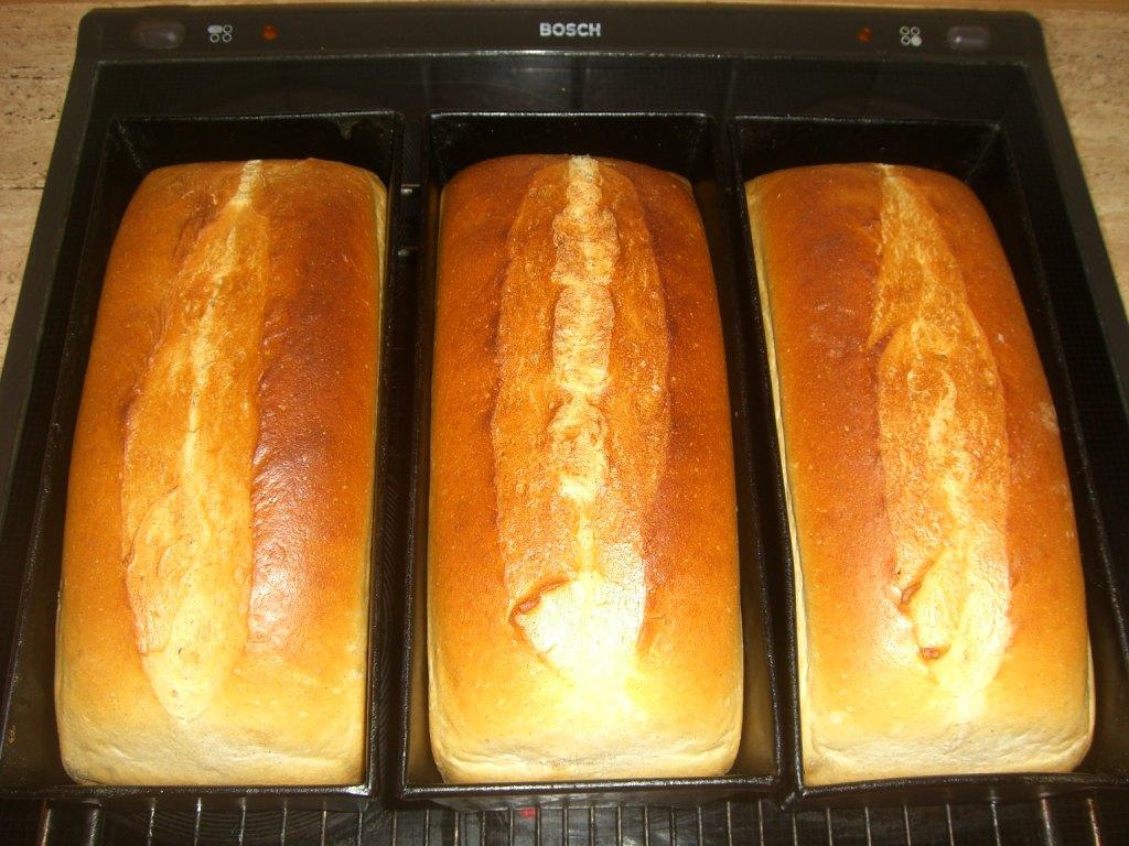 Kastemweißbrot 030.jpg