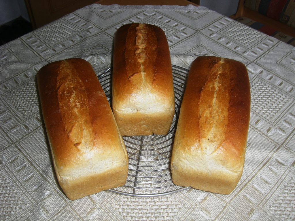 Kastemweißbrot 044.jpg