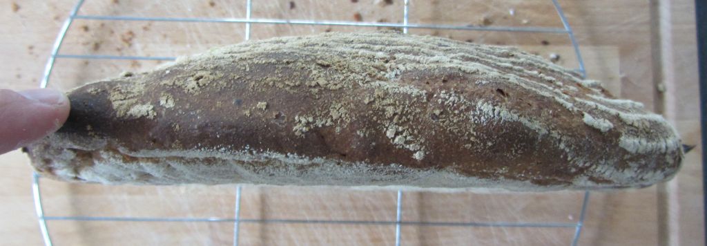 Kuhfladen oder Brot?