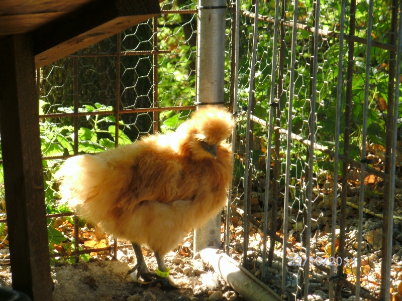 BILD0046 (800x600).jpg