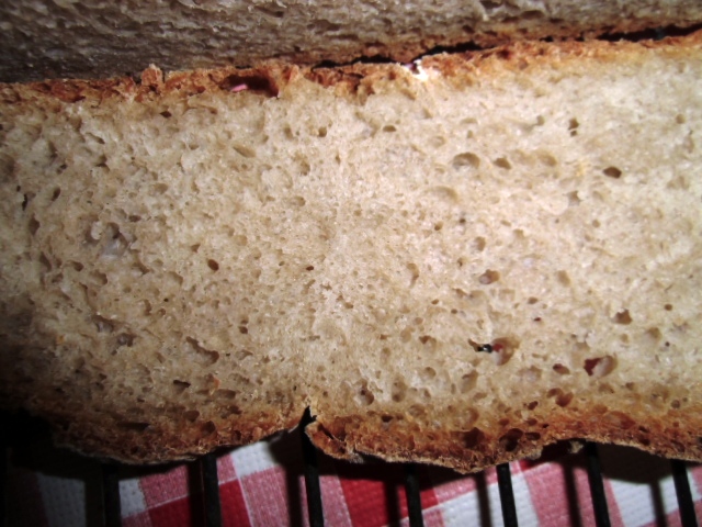 brot9 024.JPG