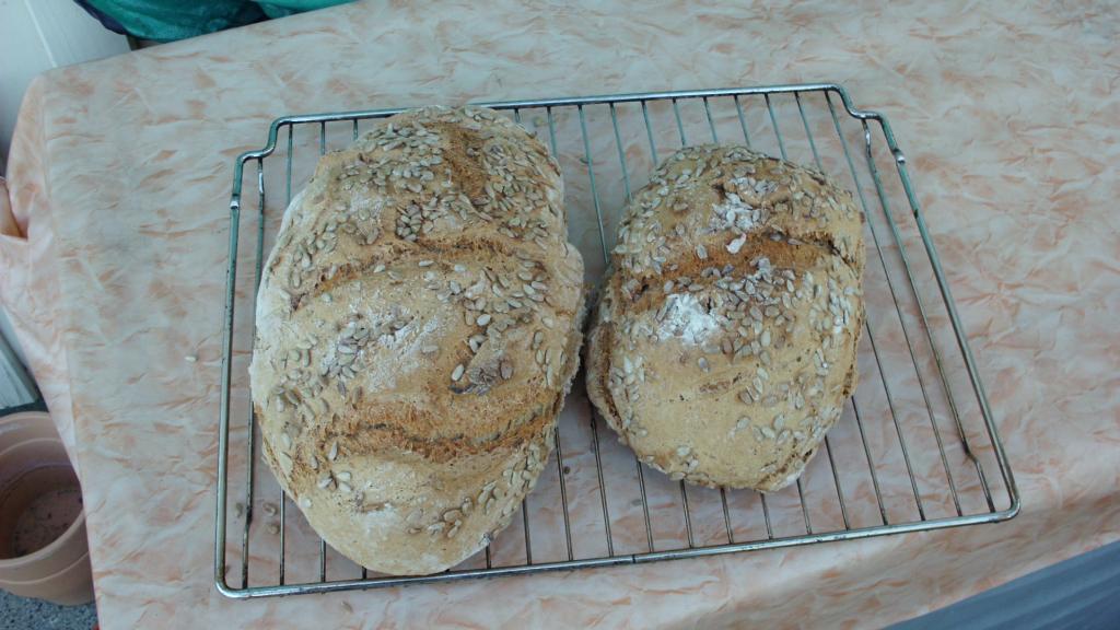 Das letzte Backergebnis