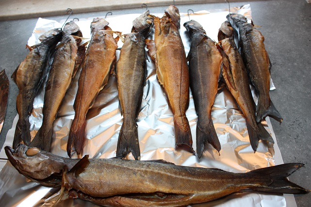 Seelachs und Schellfisch.