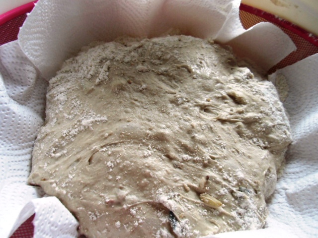 Brot12 006.JPG