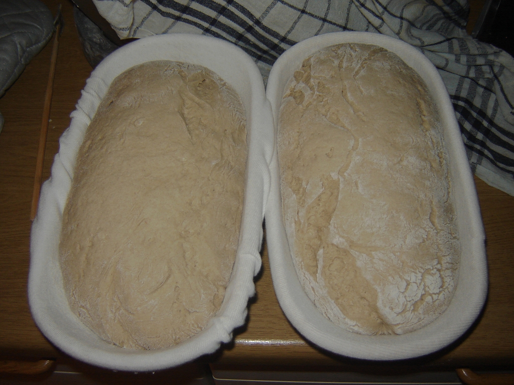 brot02.jpg