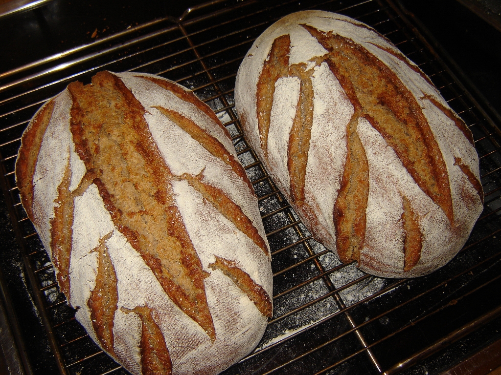 brot06.jpg