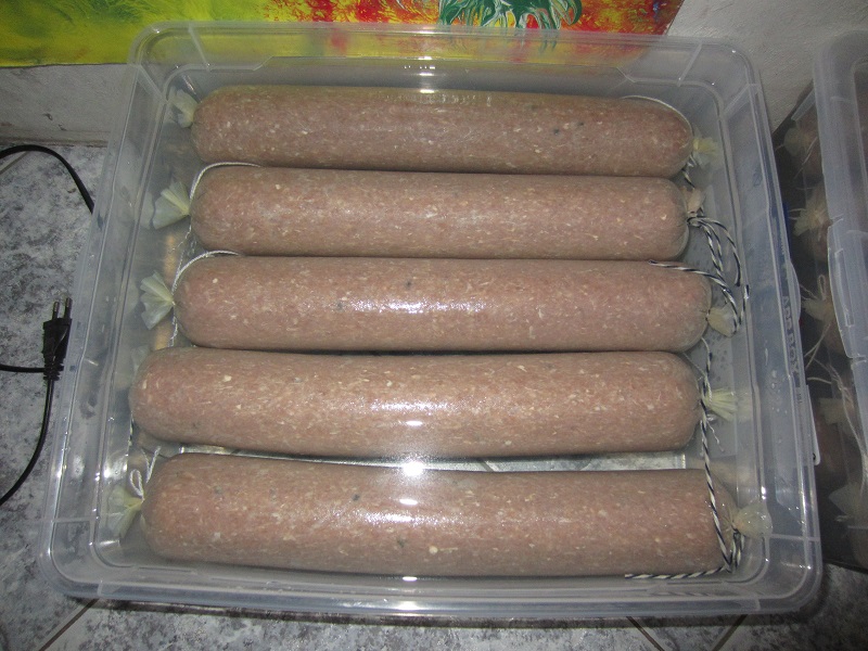Cervelatwurst ala Gerhard.JPG