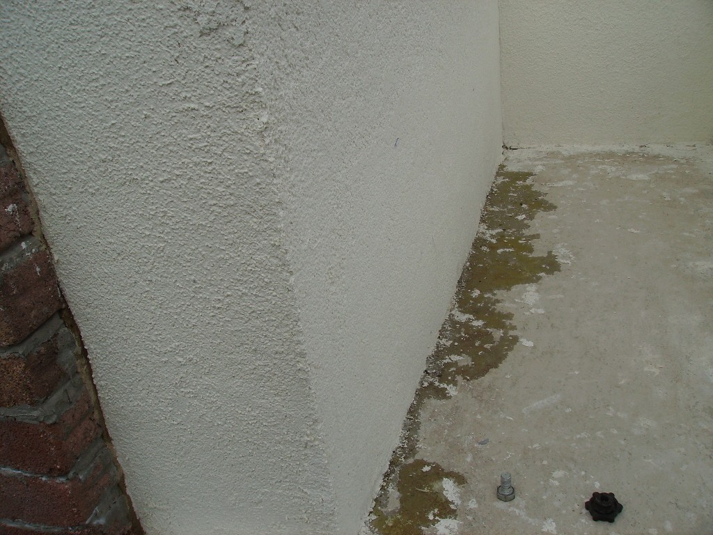 erstes Backergebnis 012.JPG