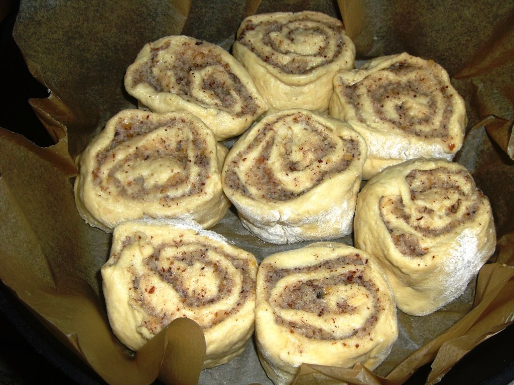 schnecken 050.jpg