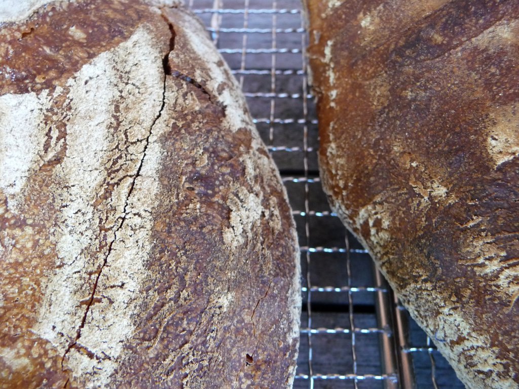 20130725_03.JPG