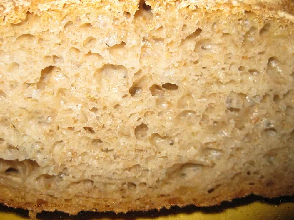 Anschnitt002.jpg