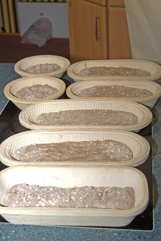 gerade in den Gärkörben "gelandet"